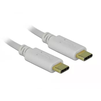 Delock - USB-C/napájací kábel - 24-pinový USB-C konektor samec na 24-pinový USB-C konektor samec - 5 A - 15 cm - USB napájanie (100 W), podporuje Power Delivery 2.0 - biely (85357)