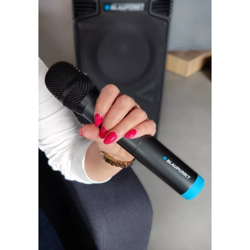 Mikrofón Blaupunkt WM60UDB