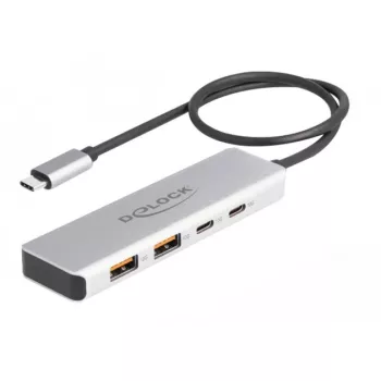DeLOCK USB hub USB Type-C 10 Gbit/s 2x Type-A 2x Type-C 35 cm kábel