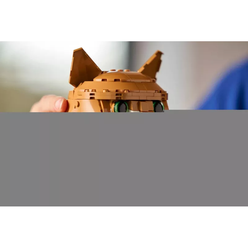 LEGO IDEAS 21376 Oranžová mačka