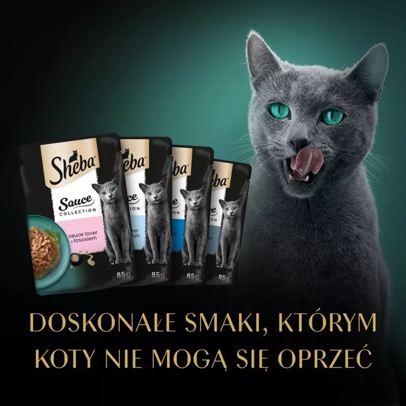 SHEBA Sauce Collection Fish flavors collection - mokré krmivo pre mačky - 40x85 g