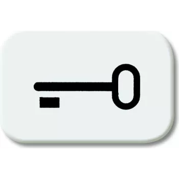 BJ - Reflex SI - symbol tlačidla kľúč *alpinweiss* (2525TR-214)