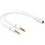 Audiokábel DeLOCK 65585 0,2 m 2 x 3,5 mm konektor samec na 3,5 mm konektor samica biely
