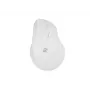 NATEC Crake 2 myš, univerzálna, pre pravákov, RF Wireless + Bluetooth, optická, 2400 DPI