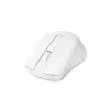 Myš DICOTA D31659W RF Wireless USB Type-C