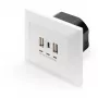 DIGITUS DA-70618 - USB výstup - USB, USB Type-C - 2 USB porty, 1 USB-C konektor samica - 3,1 A - RAL 9003, signálna biela