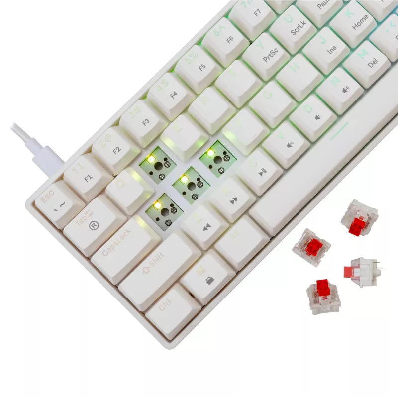 Káblová mechanická klávesnica White Shark Shinobi-2 (GK-004211) — US-layout, Red spínače, biela