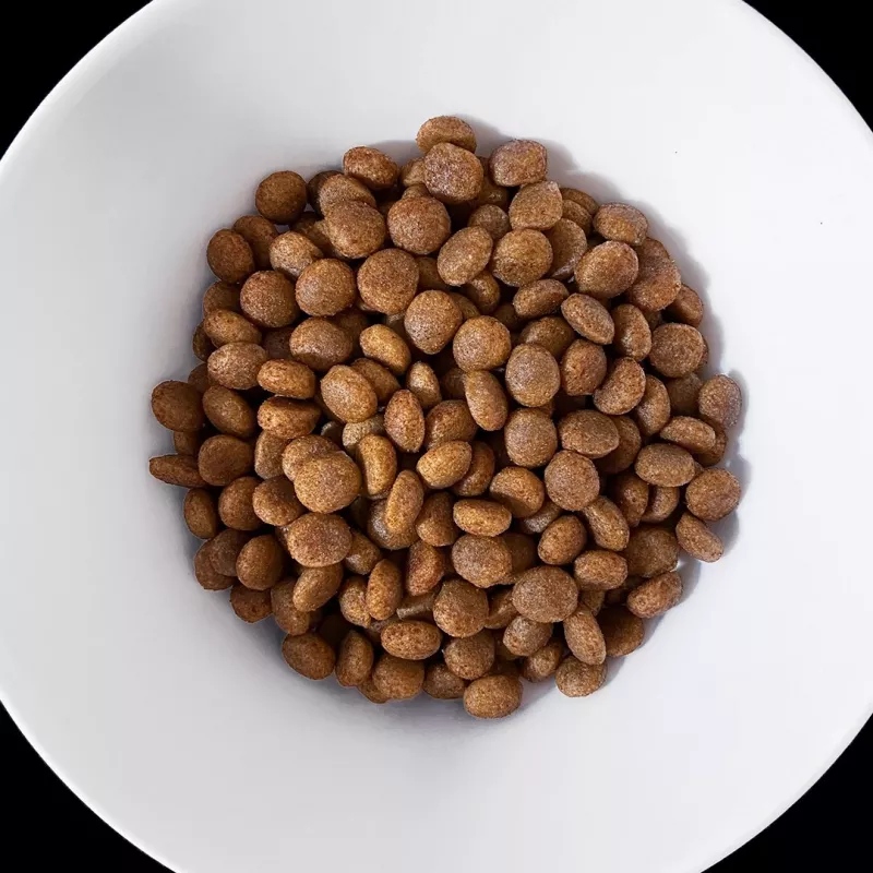 VET RESPONSE Hypoallergenic - suché krmivo pre psov - 8 kg