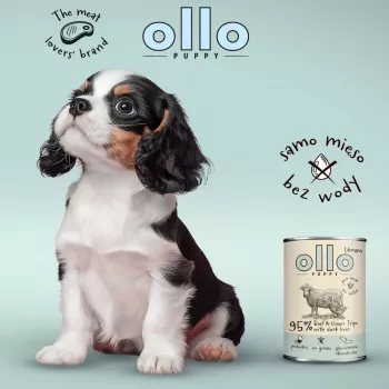 OLLO Puppy Umami hovädzina a zelené držky s kačacou pečeňou - mokré krmivo pre psov - 400 g