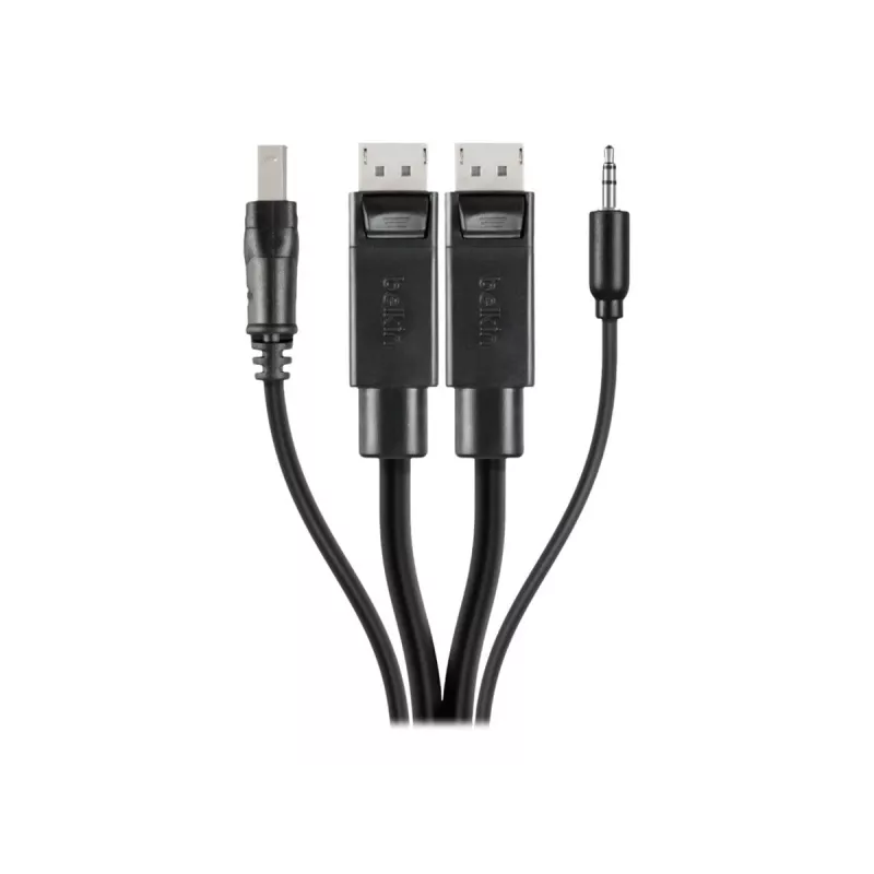 Belkin Secure KVM Combo kábel - kábel klávesnica / video / myš / audio - USB, Mini konektor, DisplayPort (M) na stereo mini jack, USB Type