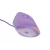 NATEC Crake 2 Pro myš univerzálna pravákov USB Type-A optická 12800 DPI