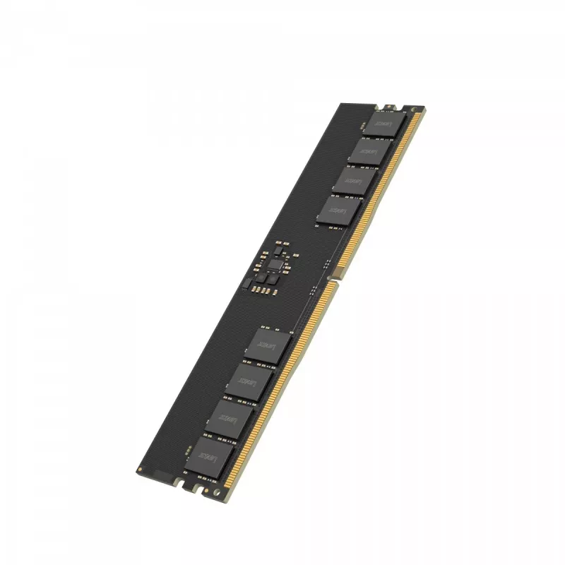 Lexar DDR5 - modul - 32 GB - DIMM 288-PIN - 5600 MT/s / PC5-44800