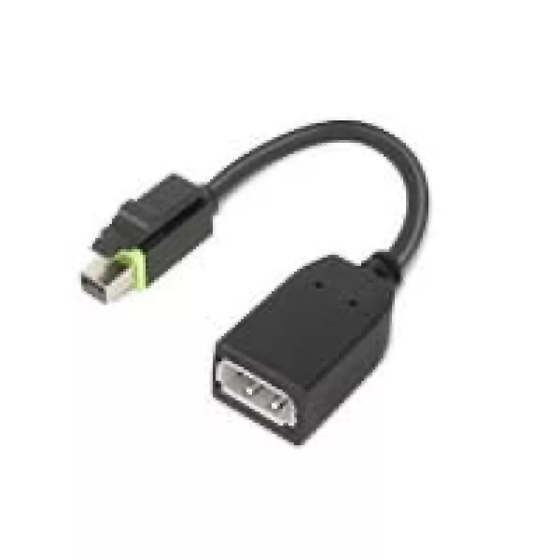 Lenovo 4X90Q93975 video kábel adaptér Mini DisplayPort DisplayPort čierny