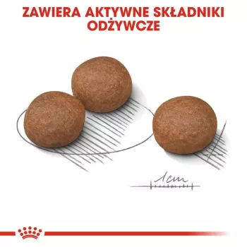 ROYAL CANIN CCN Medium Digestive Care - suché krmivo pre psov - 3 kg
