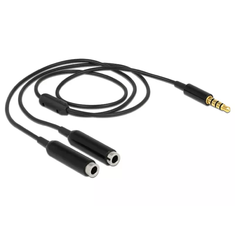 Audio kábel DeLOCK 65575 0,25 m 3,5 mm 2 x 3,5 mm čierny