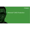 Webroot | DNS Protection s GSM konzolou | 2 roky | Licencia pre 1-9 používateľov