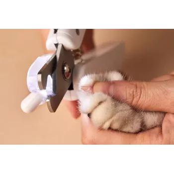 PETKIT vylepšený LED osvetlený nožničky na pazúry pre mačky a psy PRO Cutter profesionálne osvetlená krvná línia mačacia tráva pet klip na pazúry beauty