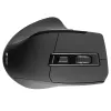 Myš Tracer Cozy pravá ruka RF Wireless optická 1600 DPI