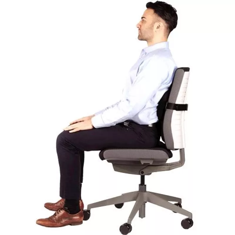 Podpora chrbtice PlushTouch/Lumbar 8026501 FELLOWES