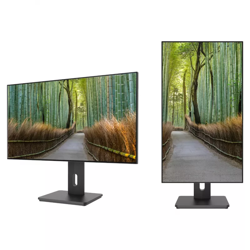 JAPANNEXT JN-27IPS4FLWQHDR-HSP 16:9 HDMI/DP WQHD - plochý displej (TFT/LCD)