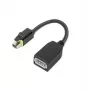 Lenovo 4X90Q93975 video kábel adaptér Mini DisplayPort DisplayPort čierny