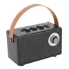 Camry reproduktor s rádiom | CR 1902 B | 5 W | Bluetooth | čierny | bezdrôtové pripojenie