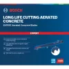 Bosch Expert 2 608 900 410 Čepeľ na priamočiaru/rolovú/sablovú pílu Carbide 1 kus
