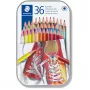Farebné ceruzky Staedtler 175 Multicolour 36 kusov