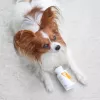 VET EXPERT Imunitný systém – prípravok na podporu imunity pre psov a mačky – 30 kapsúl.