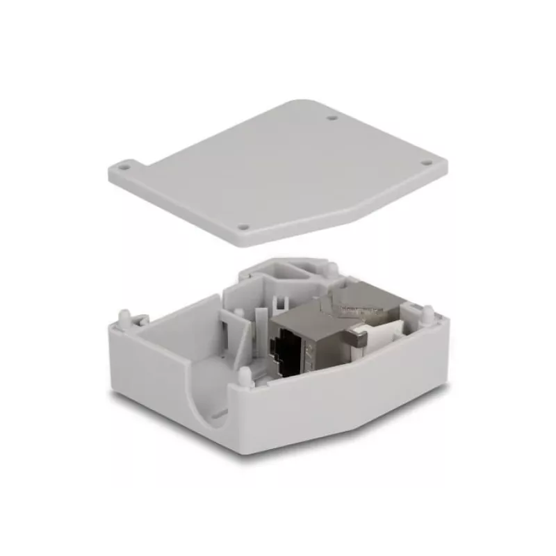 DeLOCK DIN lištový adaptér RJ45 konektor samica na RJ45 konektor samica Cat.6A sivý