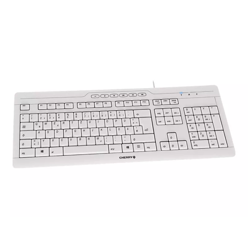 CHERRY STREAM 3.0 klávesnica kancelárska USB švajčiarska sivá