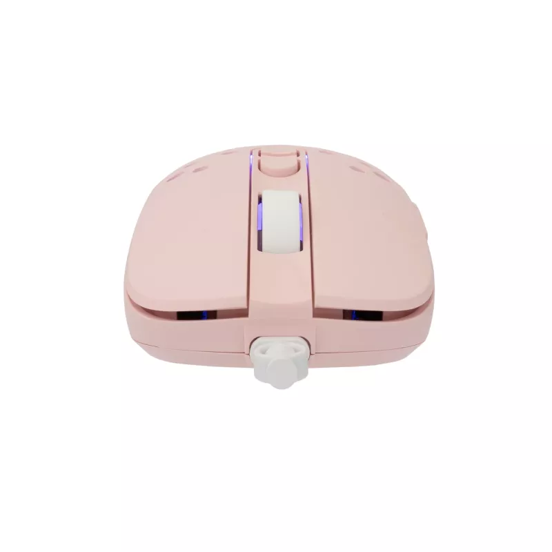 Myš White Shark GM-9004 Tristan-2 ružová RGB USB