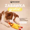 Paka Zwierzaka hračka pre psov kura