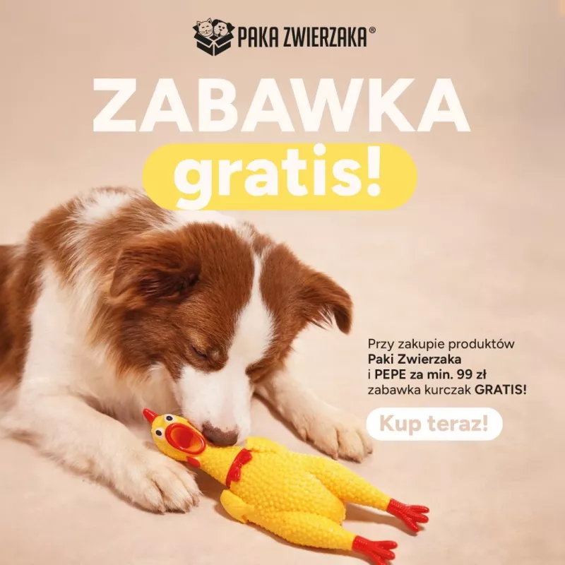 Paka Zwierzaka hračka pre psov kura