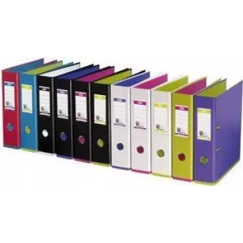 ELBA MyColour - A4 - ukladanie - plast - modrá - zelená - 500 listov
