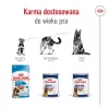 ROYAL CANIN SHN Maxi Ageing konzerva 410 g