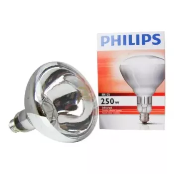 Philips 60800122044 žiarovka 250 W