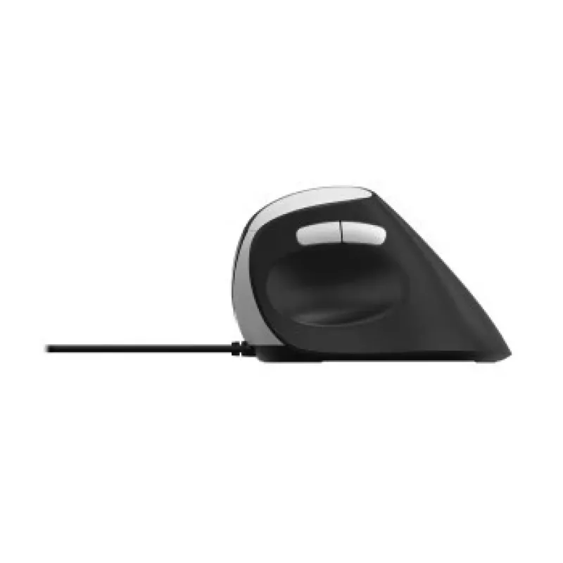 Myš Rapoo EV200 Office USB Type-A
