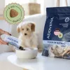 ADDVENA Power of Nature Junior Small Lamb - suché krmivo pre psov - 10 kg