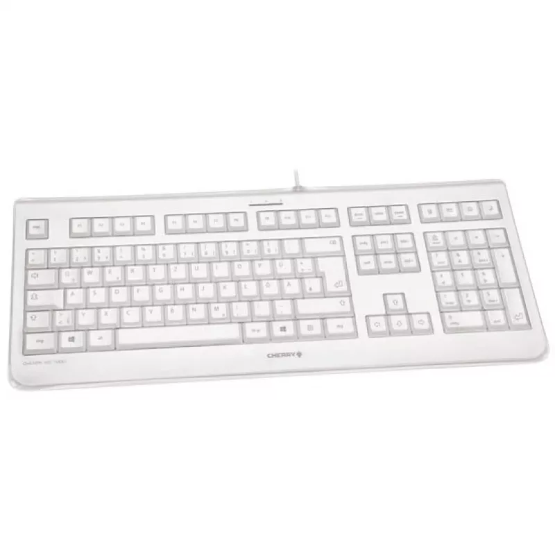 CHERRY KC 1068 klávesnica USB švajčiarske rozloženie sivá