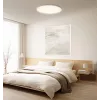 Inteligentné stropné svietidlo Xiaomi D30 WiFi 30W