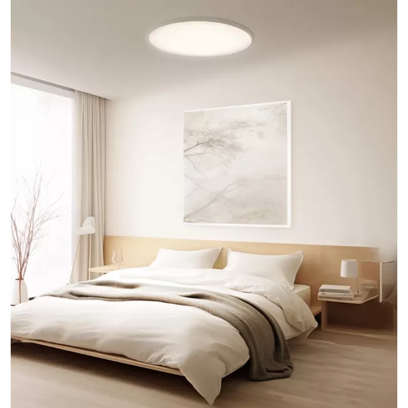 Inteligentné stropné svietidlo Xiaomi D30 WiFi 30W