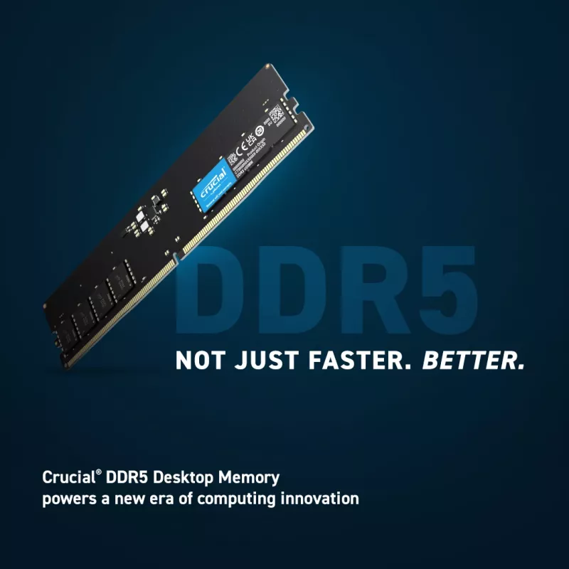 Crucial Pro – DDR5 – modul – 16 GB – DIMM 288-PIN Low Profile
