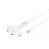Delock USB adaptér - USB Type A (W) na 24 pin USB-C (M)
