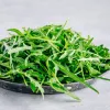 PNOS rukola Eruca sativa semená na páse, 6 m
