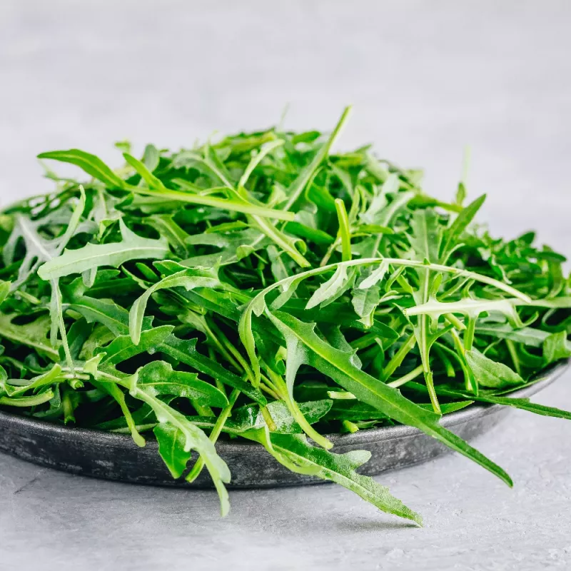 PNOS rukola Eruca sativa semená na páse, 6 m