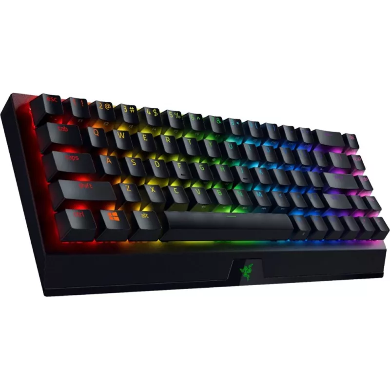 Klávesnica Razer BlackWidow V3 Mini