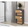 Komoda Top e Shop W5 ANT/ART, 5 zásuviek, antracit/dub, drevotrieska