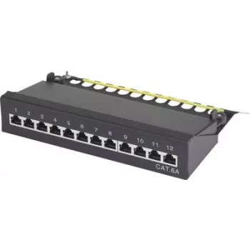 Renkforce 12 portová sieťová patch box 25,4 cm (10) CAT 6a 1 HE (RF-3353154)