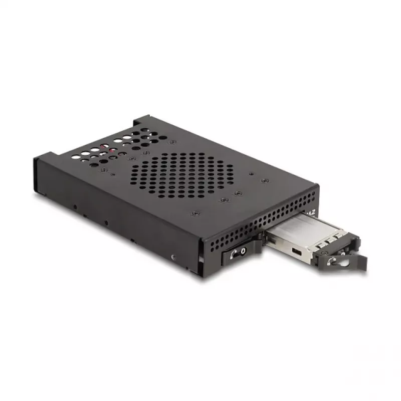 Rám pre SSD DeLOCK 47117 3,5 palca pre 2 x M.2 NVMe SSD